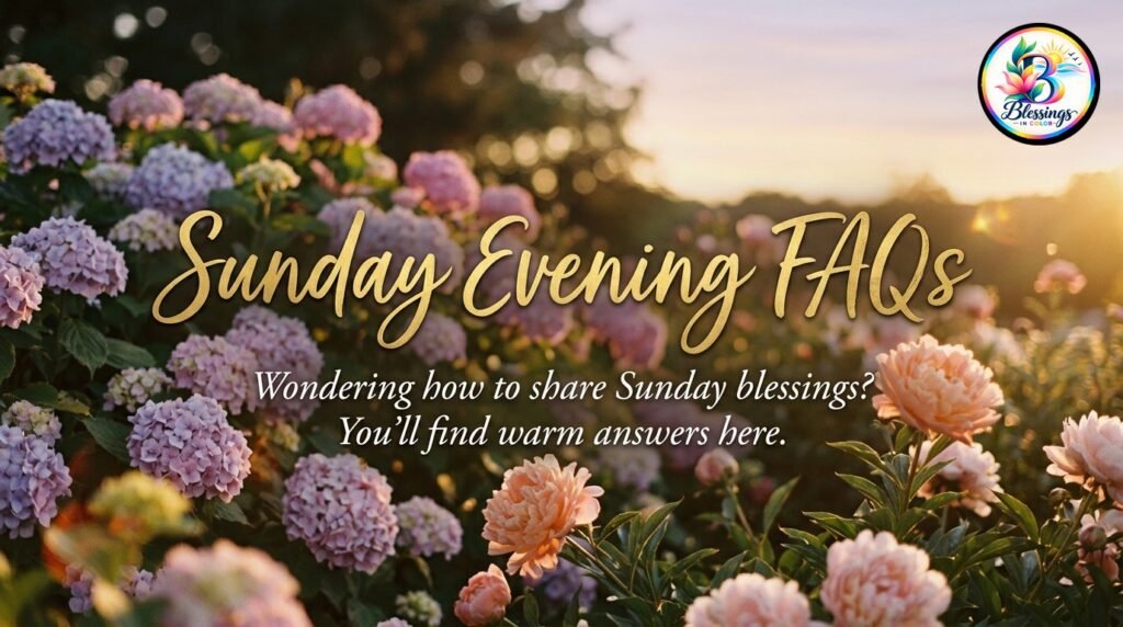 sec11-sunday-evening-faqs